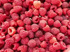 Raspberries from Serbia