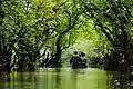 Image 15Ratargul Swamp Forest is a freshwater swamp forest located in Gowain River, Fatehpur Union, Gowainghat, Sylhet, Bangladesh. It is the only swamp forest located in Bangladesh and one of the few freshwater swamp forest in the world. The forest is naturally conserved under the Department of Forestry, Govt. of Bangladesh.Photo Credit: Sumon Mallick