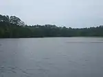 Ratcliff Lake in the Davy Crockett National Forest