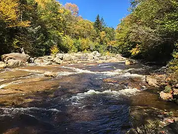 Red Creek near its confluence with Fisher Spring Run