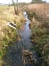 The Red Burn in 2009 near the site of the Drukken Steps.