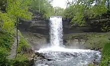 Minnehaha Falls surrounded by dirt and green foliage perhaps in early spring