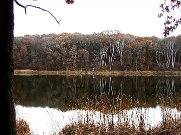 Portage Lake in early November