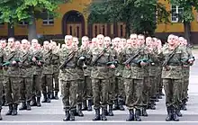 Polish recruits are sworn in