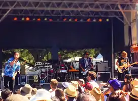 Rey Pila performing at the 2014 Austin City Limits Music Festival