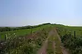 The footpath up the western slope of Ridgeway Hill from the car park