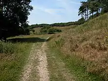 Ringstead Downs