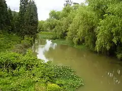 Bogotá River in Briceño