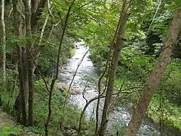 Cerrillos River