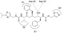 Ritonavir is similar to the natural substrate.