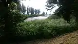 The River Aire as it approaches the River Ouse at Airmyn