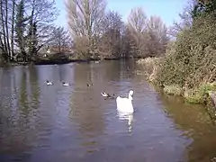 The millpond at Glandford