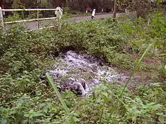 Two steams converge with the Glaven at the outlet from Selbrigg pond.