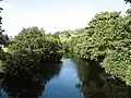 River Nidd near Pateley Bridge