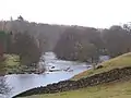 River Ure near Aysgarth with Batt Island in view