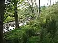 River Ure west of Hawes