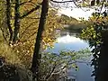 River Ure near West Tanfield