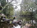 The River Wansbeck viewed from the stepping stones at Bothal.