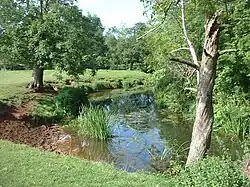 the river flowing between grassy banks with trees on both sides