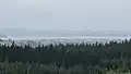 View of the Riverhead Forest looking south towards Auckland