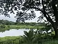 Yakkara Riverside view