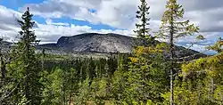 View of the mountain Roan