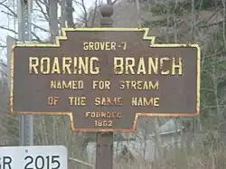 Official logo of Roaring Branch, Pennsylvania