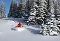 Powder day at Marmot Basin