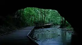 Rock Bridge at Rock Bridge Memorial State Park