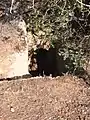 Burial tomb carved from rock in Khirbet Malkat-ha near Aviezer