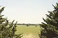 Looking towards Minneapolis, KS across rippling wheat fields in May