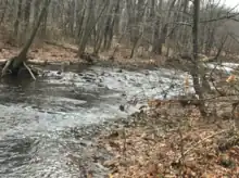 Rock Brook flowing through Skillman Park.