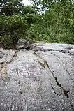 Archeological site of the petroglyphs.