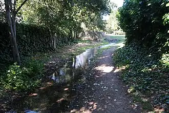 Greenbelt creek