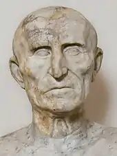 bust