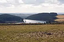 a reservoir surrounded by forest