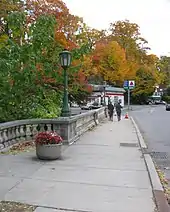 A walkway between a road and autumn trees