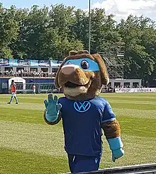 A mascot representing a dog dressed in a football jersey and a blue mask over the eyes walks on a football pitch and waves.