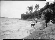 English: View of a man and a boy in a dinghy in a choppy sea near the water's edge at Herne Bay. A man wearing a hat is holding the dinghy steady while another man and a boy watch from the beach. A small girl is playing on the sand with a spade near by. A black dog is standing in the water and another dog is sitting on the sand in the middle distance. Taken by William A Price in early 1900s.