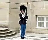 Royal Guard at the Amalienborg Palace, Copenhagen.