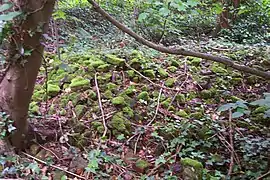 Brick rubble - Part of the ruins?