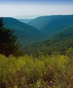 A scenic vista from the Russell P. Letterman Wild Area within Sproul State Forest