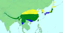 The year-round range extends along the southern Himalayas into southern China, as well as Taiwan, southwestern Korea, and central Japan. The summer range is further north in China, Korea, and Japan, and also includes Sakhalin. The winter range extends further south in China, Southeast Asia, and Japan.