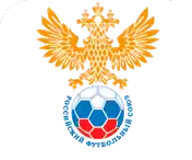 Shirt badge/Association crest