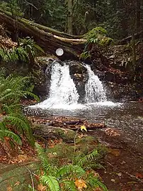 Rustic Falls on Cascade Creek