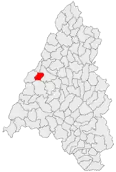 Location in Bihor County