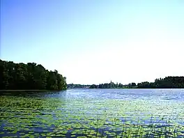 View of lake