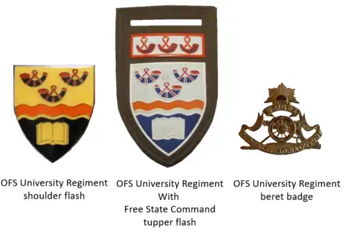 SADF era OFS University Regiment insignia