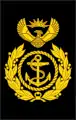 South African Navy