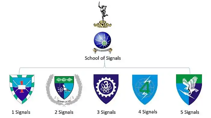 SANDF Structure Signals Formation